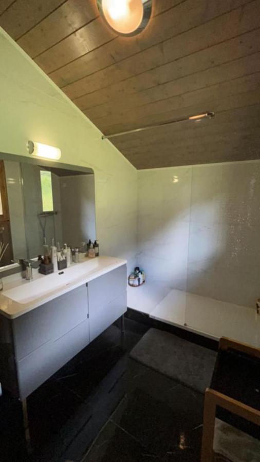 Chalet Luxueux Châtel Eksteriør bilde