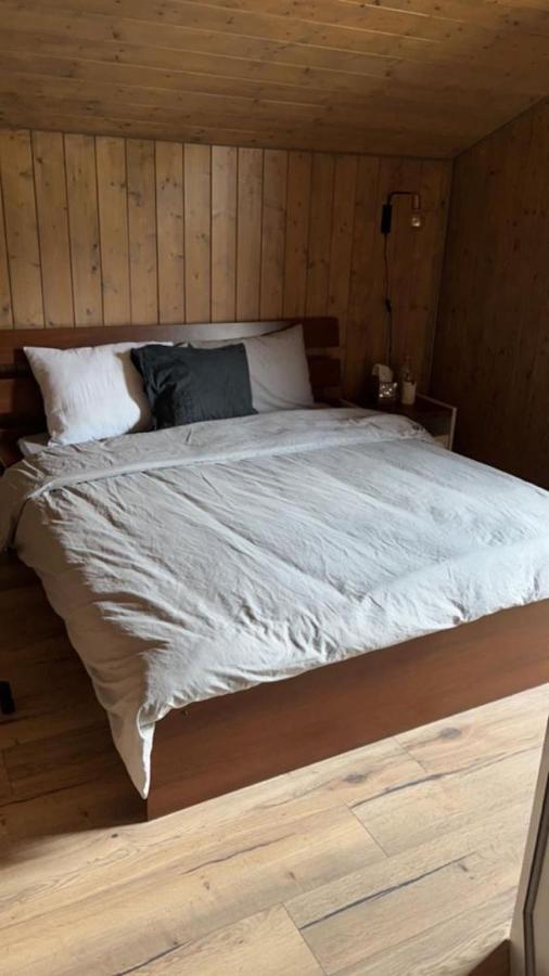 Chalet Luxueux Châtel Eksteriør bilde